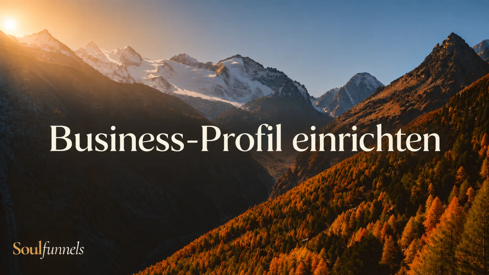 Einstellungen: Unternehmensinfos & Profil