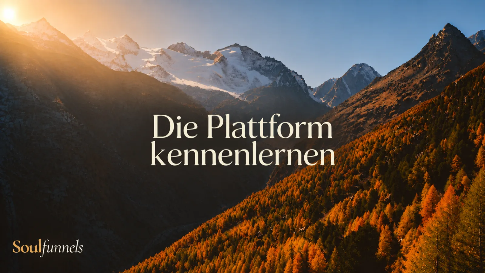 Die Plattform kennenlernen