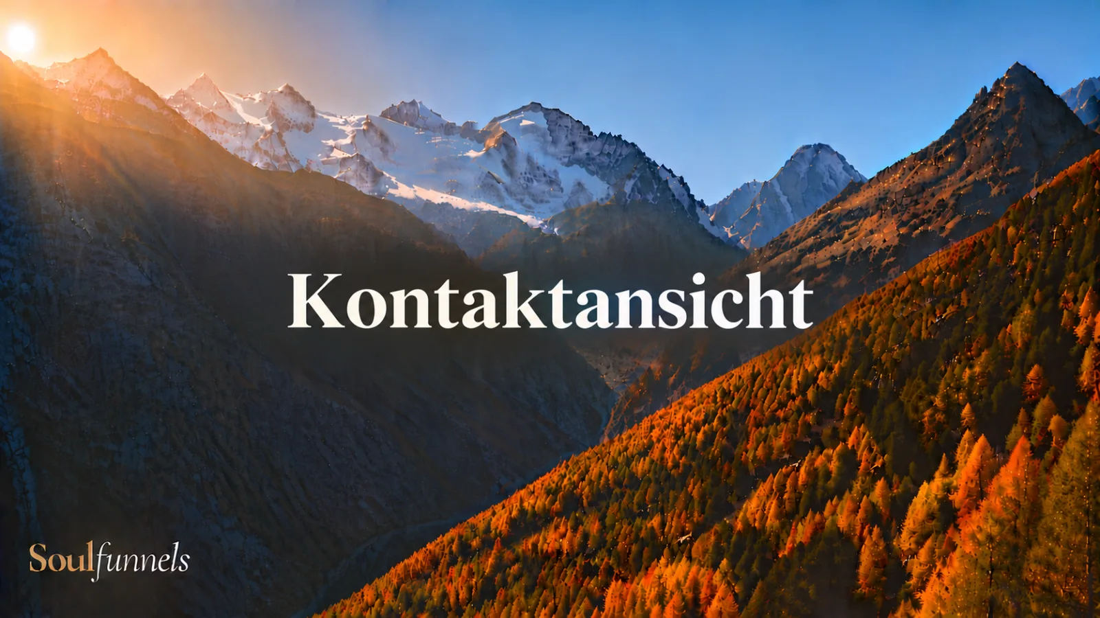 Die Kontaktansicht im Überblick