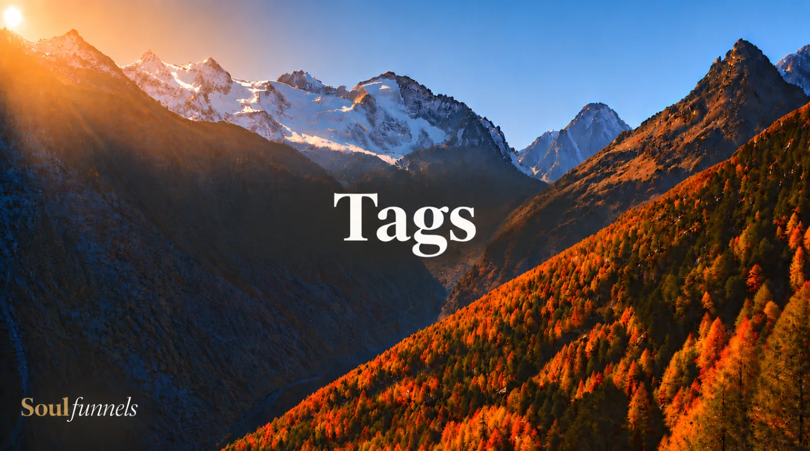 Tags